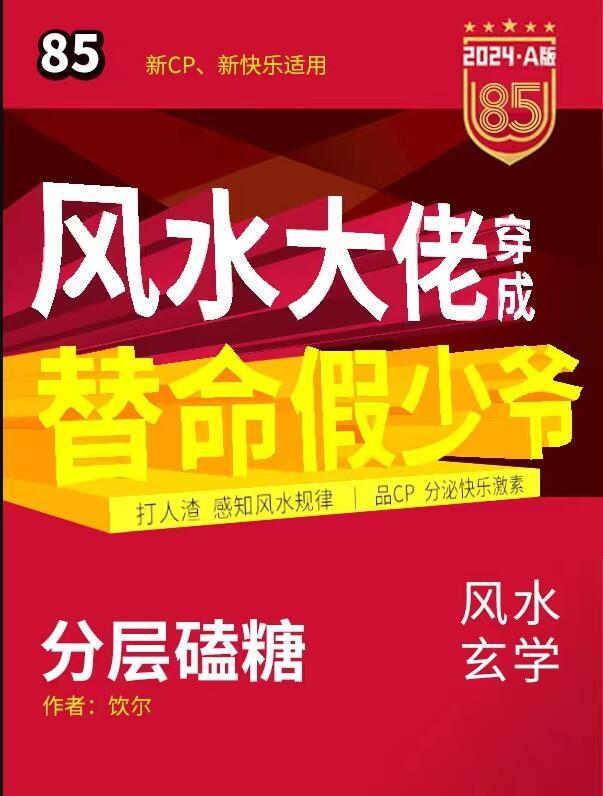 风水大佬穿越豪门TXT